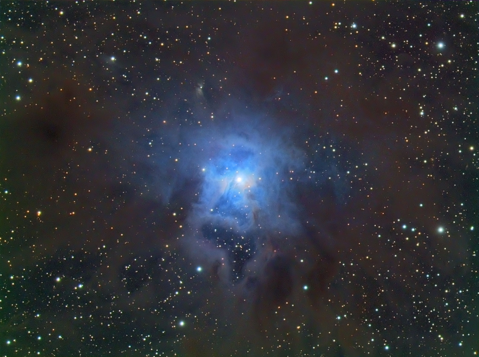 NGC7023 The Iris Nebula