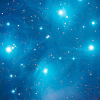 The Pleides Cluster